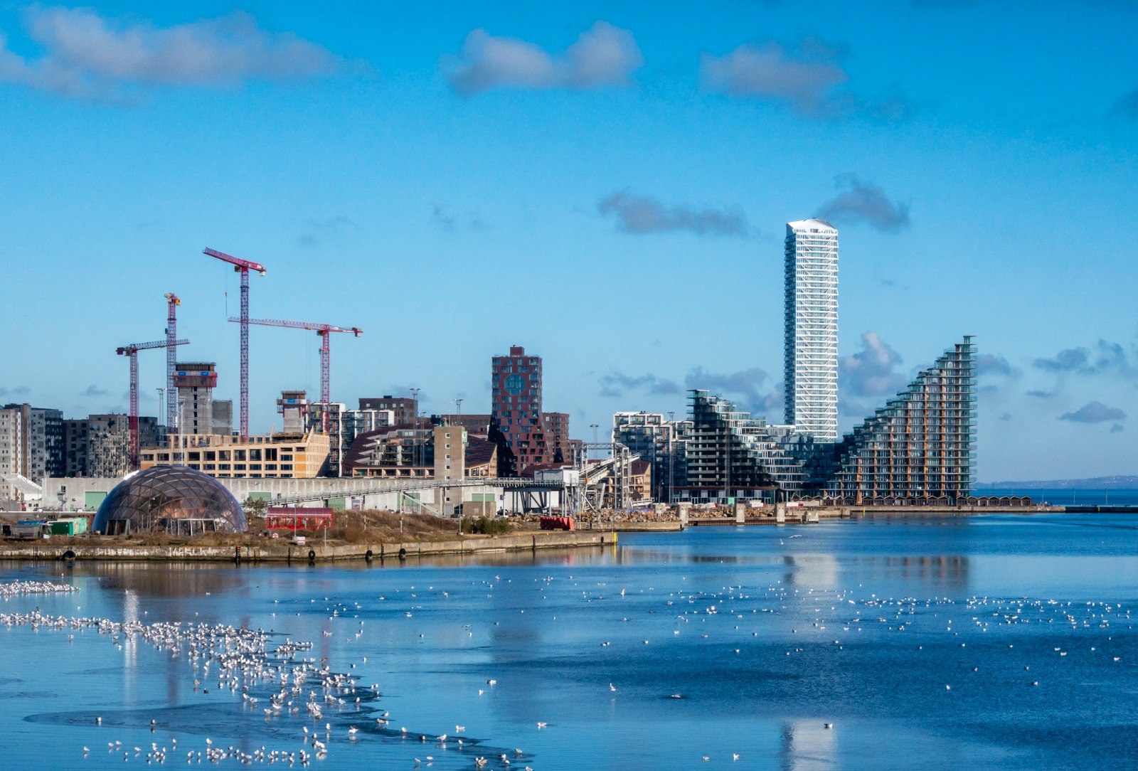 Modern buildings and construction cranes beside Aarhus harbour – part-load removals to Aarhus