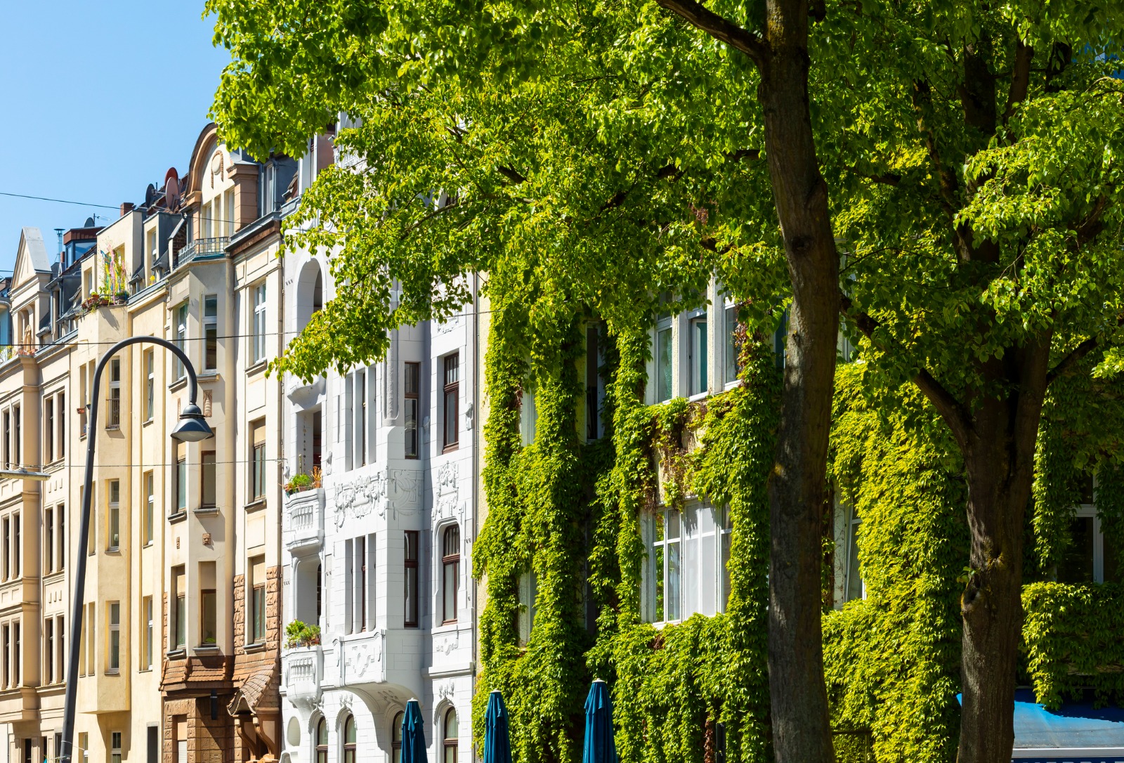 Tree-lined street with historic residential buildings in Germany – shared-load removals to Germany