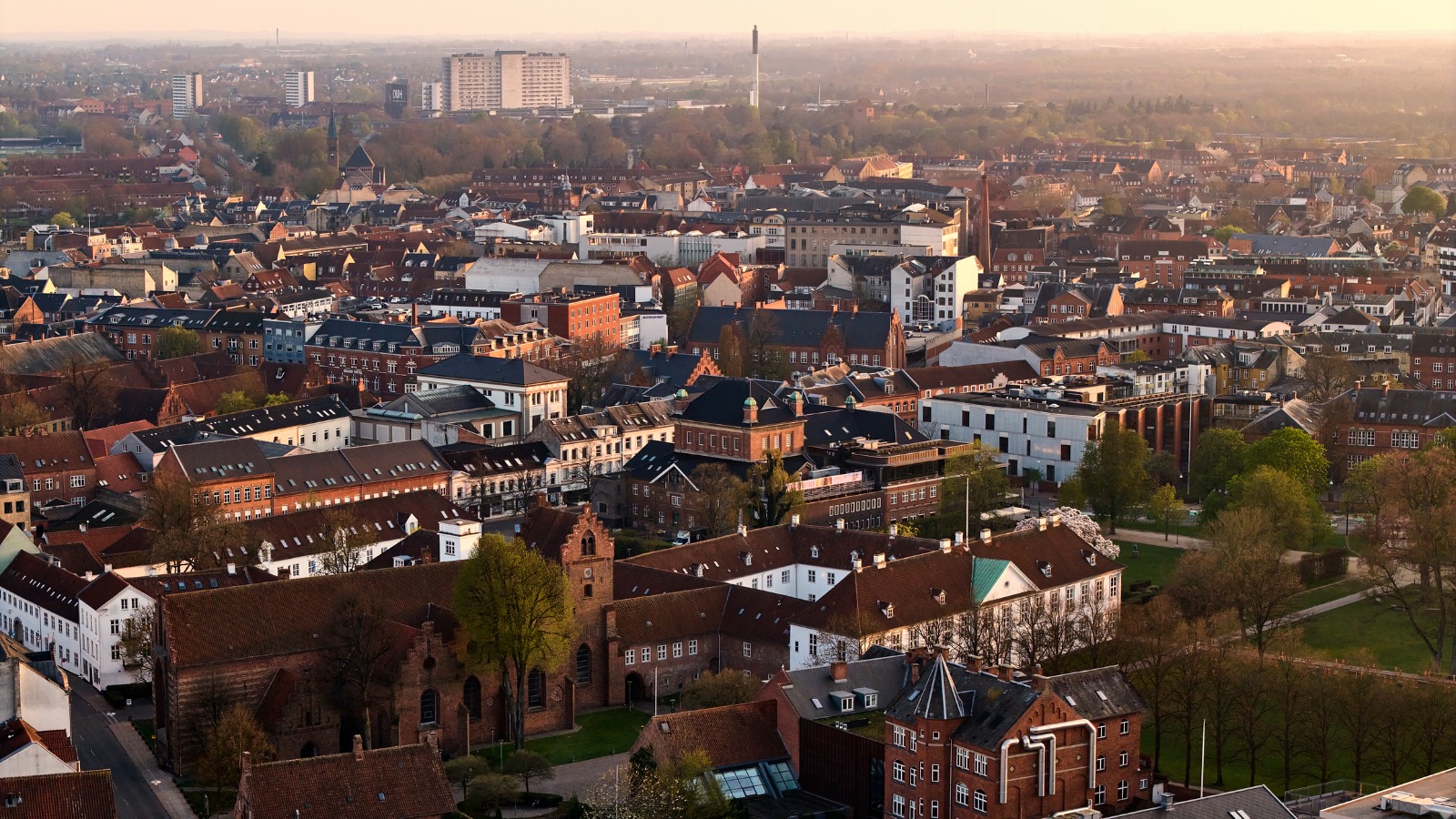 Odense rooftops and city streets in evening light – removals from the UK to Odense
