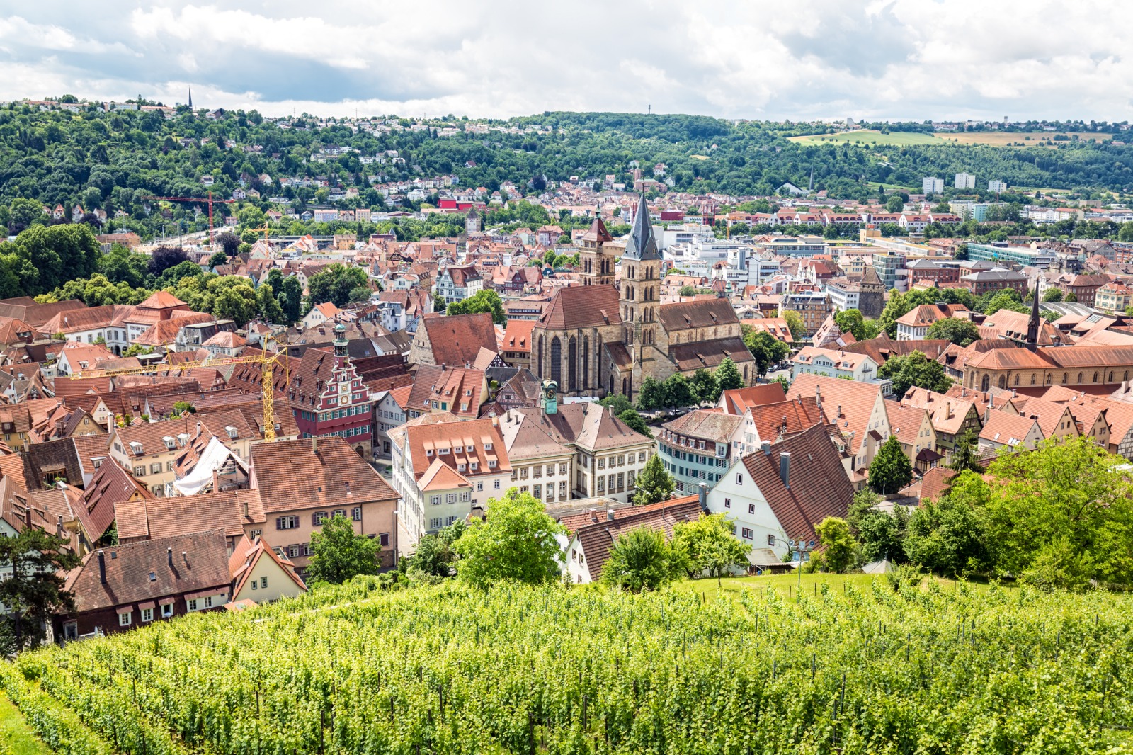 Town rooftops and vineyards on a hillside in Germany – part-load removals to Germany