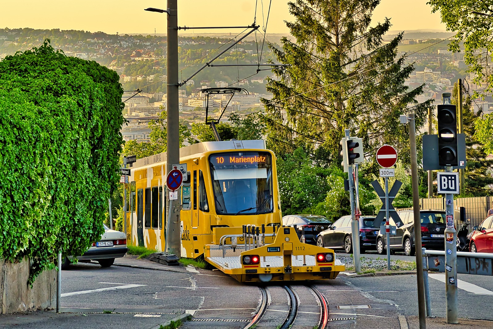 Yellow tram on a tree-lined street in Stuttgart, Germany – moving from the UK to Stuttgart