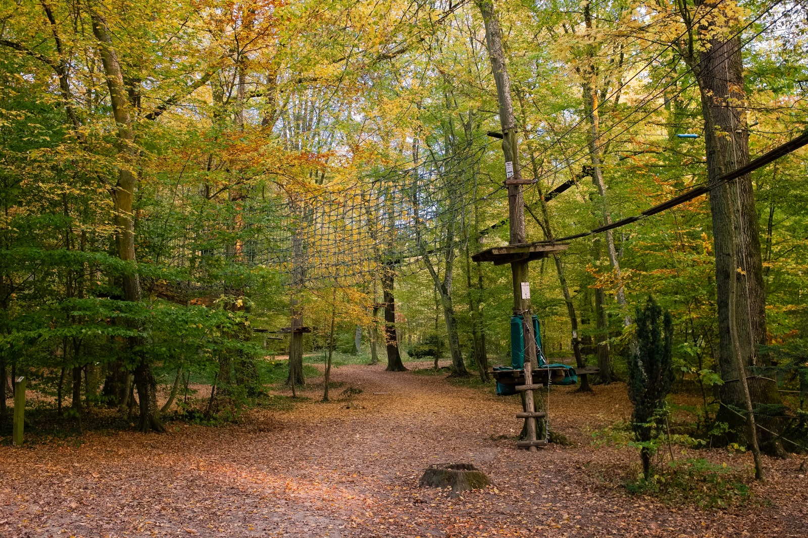 Woodland walking path and outdoor activity structures in Luxembourg – part-load removals to Luxembourg